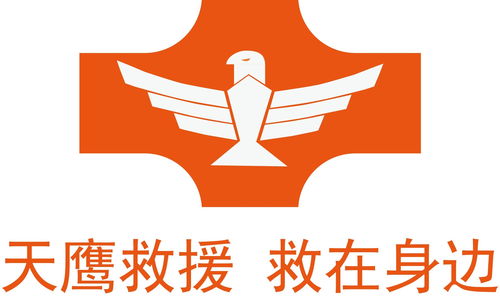 廣東天鷹救援技術服務 專業守護，安全護航