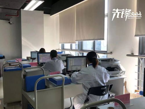 檔案是什么，又應該如何保存？福州市檔案局給你答案——承接檔案服務外包須知